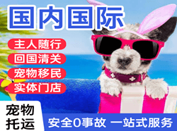 北海航空邮寄国际宠物托运 【国